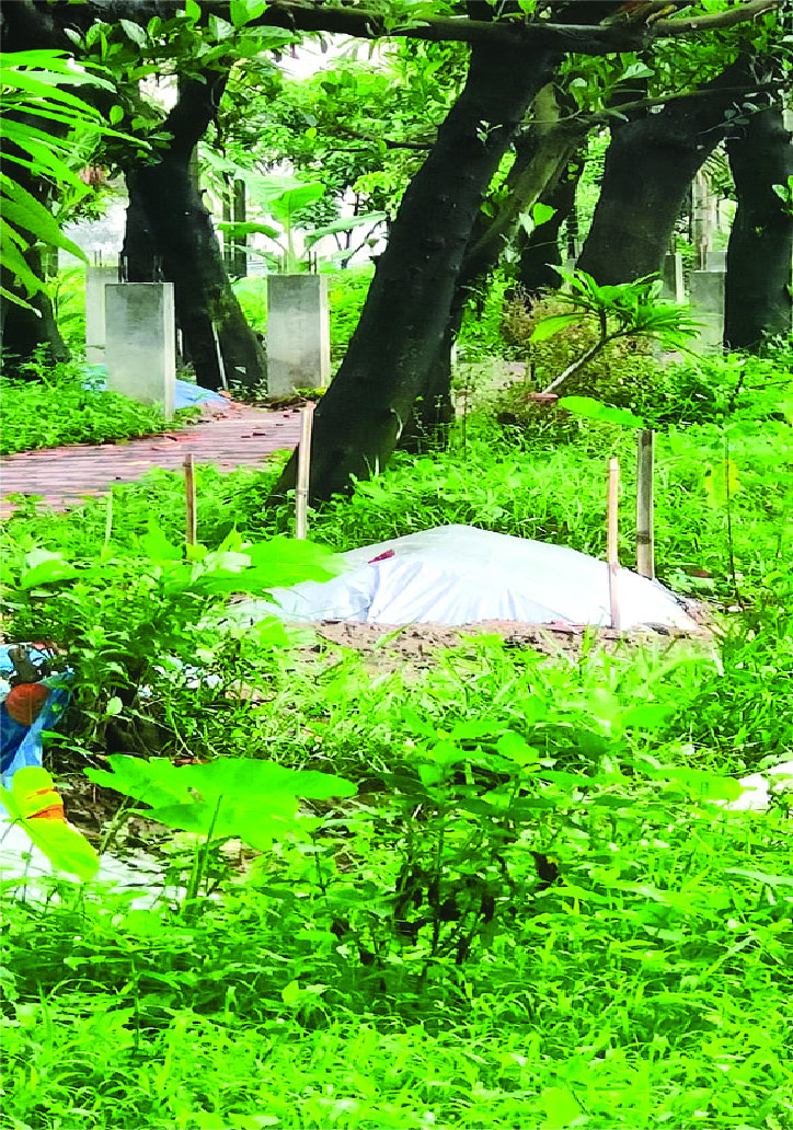 Image of নাসিব হাসান রিয়ান